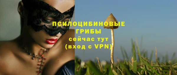 мяу мяу мука Балабаново