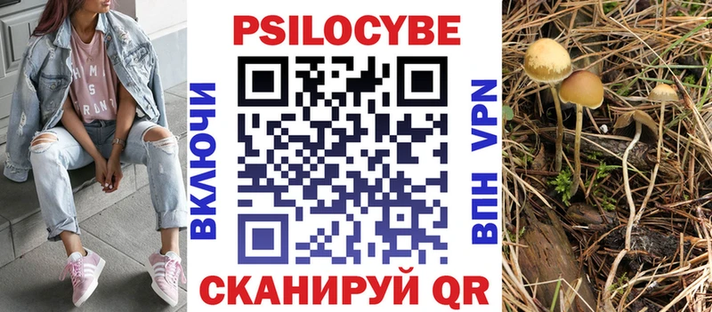 Псилоцибиновые грибы Psilocybe  Заозёрск 